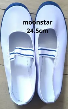 moonstar スクールシューズ　上靴　上履き 24.5cm