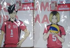 孤爪研磨　黒尾鉄朗　ファブリックポスター　ハイキュー　布ポスター　　タペストリー