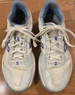 Item thumbnail for item 184fa945-3779-4220-baea-bc34c3c83cf6