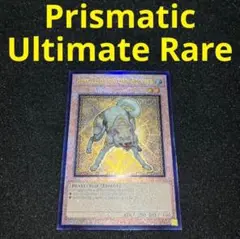 2025年最新】ライトロードハンターライコウ 英語の人気アイテム