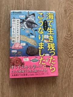 海でギリギリ生き残ったらこうなりました