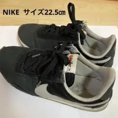 Item thumbnail for item c6a3aee2-19ba-4483-8e4b-aaac6edf07a3