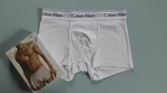 Item thumbnail for item 654a1863-1c99-497e-90ef-6a1caa08b0d1