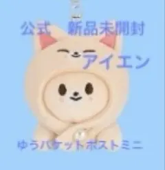 2026年最新】skzoo アイエンの人気アイテム - メルカリ