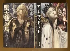 山藍紫姫子 BL小説 19冊セット 山藍紫姫子 『背徳の聖者たち』 シリーズ 全5冊セット BL小説