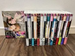 プロミスシンデレラ　1-16全巻セット　完結