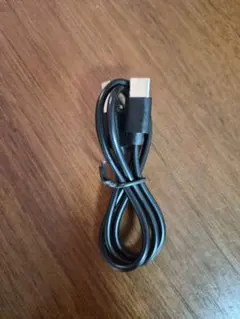 USB Type C 充電ケーブル ブラック