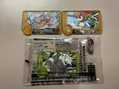 ポケモンフレンダ レガシーピック