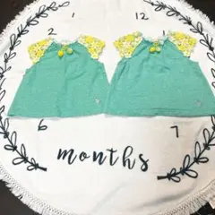 Item thumbnail for item 73ebeea2-063c-4153-8838-bfbb21c67622