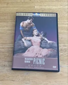 「ピクニック DVD」