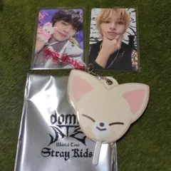 Stray Kids ミニうちわキーホルダー　アイエン　トレカ