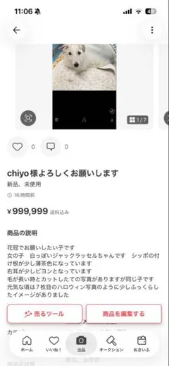 chiyo様 よろしくお願いします