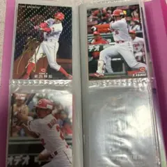 【確認用】プロ野球チップスカード　カルビー
