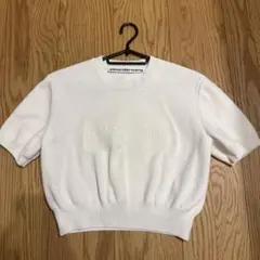 超美品　alexanderwang 半袖 ニット トップス ホワイト XS 超美品 alexanderwang 半袖 ニット トップス ホワイト XS - メルカリ