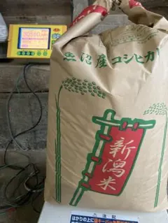 農家直送】7年産魚沼コシヒカリ 玄米30㎏ - メルカリ