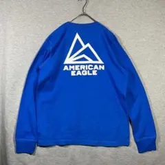 【AMERICAN EAGLE】3Dプリントコットン100％ロンティーカットソー