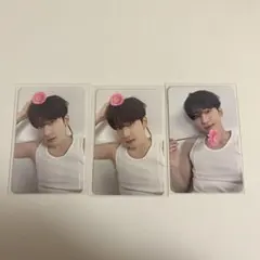 SEVENTEEN ウォヌ carat盤 トレカセット