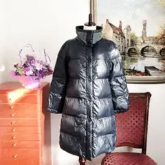 新品未使用タグ付★FABIANA FILIPPI★現行★カシミヤ★ダウンコート 2025年最新】FABIANA FILIPPI レディース ダウンジャケットの人気