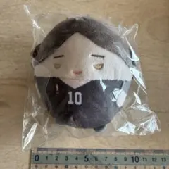 ハイキュー!! ぬいくじ2 E賞 角名倫太郎 - メルカリ