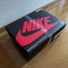 【新品・未開封】NIKE AIR JORDAN MODEL KIT