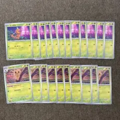 ビードル コクーン 進化ライン　　ニンジャスピナー