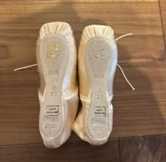 Item thumbnail for item e8982b4a-94cb-44e6-abf8-444ee68185b7