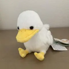 ぺたぺたアヒル隊　もふぃ　ぬいぐるみ