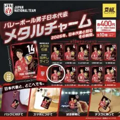 バレーボール男子日本代表 小川智大選手メタルチャーム