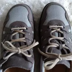 Item thumbnail for item 2ca1ad84-c5a4-48d0-a761-5cd1bcd169b3