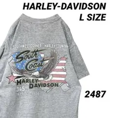 00s ハーレーダビッドソン バイク イーグル Tシャツ Lサイズ