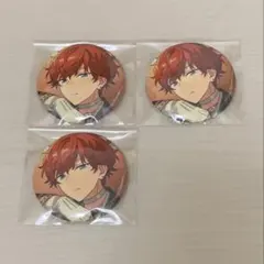 あんスタ イベコレ 缶バッジ Extra 天城一彩 開花前 80点 セット あんスタ イベコレ 缶バッジ Extra 天城一彩 開花前40点 セット - メルカリ