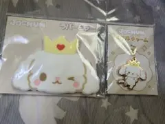 ⚠️値下げ⚠️【JOCHUM】RURU ラバーミラー　メタルチャーム