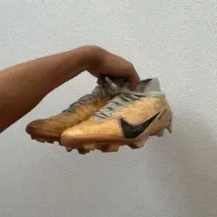 Item thumbnail for item 8e60a985-4157-4446-85be-fb96c4502f57