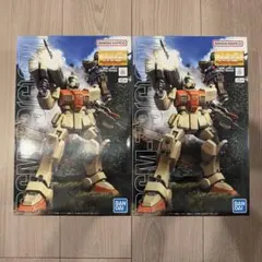 2個セット MG 1/100 RGM-79 G 陸戦型ジム