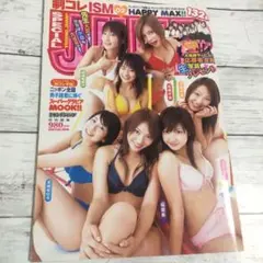 週刊ヤングジャンプ 制コレＩＳＭ02 ２００３年 サエコ ムック