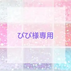 ぴぴ様専用ページ