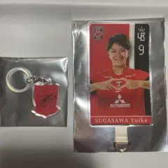 浦和レッズレディース 記念グッズ