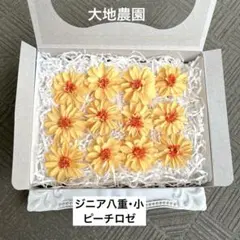 済　mayufuji ♡空花♡様 ご専用