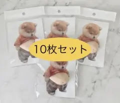 おなかぷにぷにシール　お腹　柴犬　スクイーズ　シリコン　緩衝材発送【10枚】