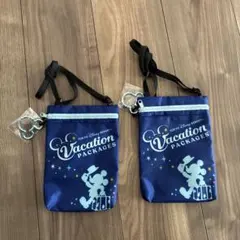 東京ディズニーリゾート バケーションパッケージ ポーチ 2個セット