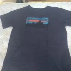 限定完売！Patagoniaボーダー半袖TシャツM/パタゴニアネイビー2016年 