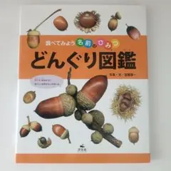 どんぐり図鑑 安藤貴一著