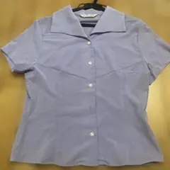 Item thumbnail for item 5bcb3ee0-6990-4ad2-a843-813dd2a712e8