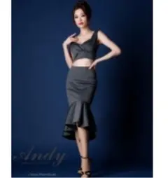 値引き中‼️美品‼️Andy ドレス★セットアップ