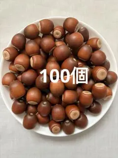 くぬぎ あべまき どんぐり 100個