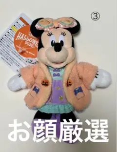 お顔厳選！！ディズニー　ハロウィン 2026 ぬいぐるみバッジ　 ミニー