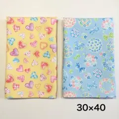 Item thumbnail for item 4d0473a5-3065-4c55-bc8d-ca1d894d556f