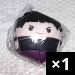 五色工　ふわコロりん 9　ハイキュー　白鳥沢高校　vol.9