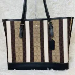 【美品】　コーチ　モリー　シグネチャー　ハンドバッグ トートバッグ　キャンバス
