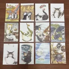 ポストカード 12枚セット　ダヤン　わちふぃーるど